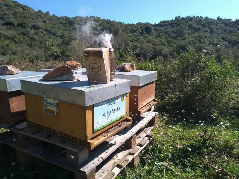 La ruche Arba Santa