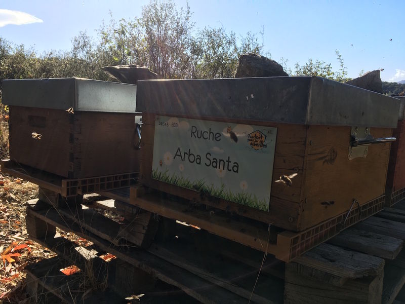 La ruche Arba Santa