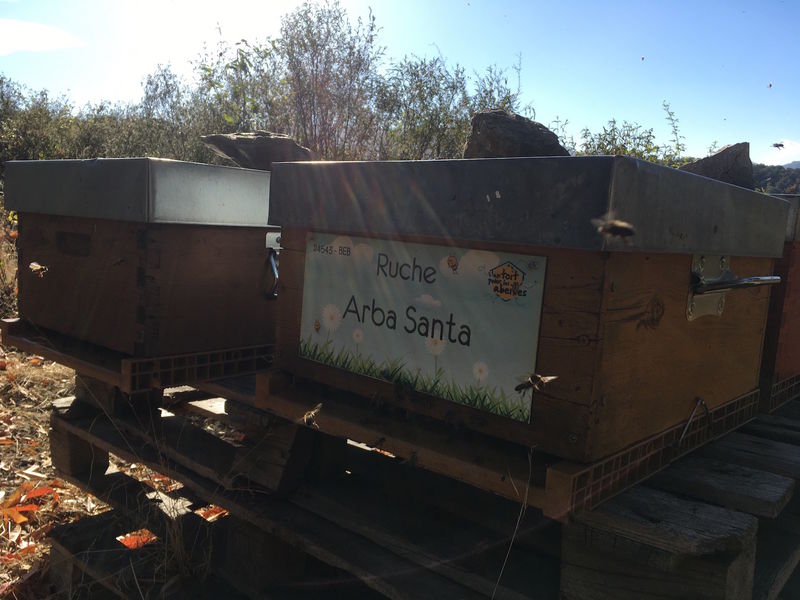 La ruche Arba Santa