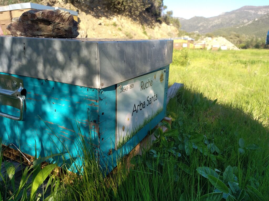 La ruche Arba Santa