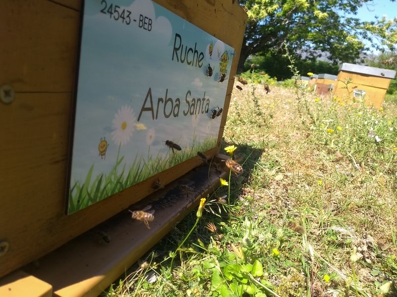 La ruche Arba Santa