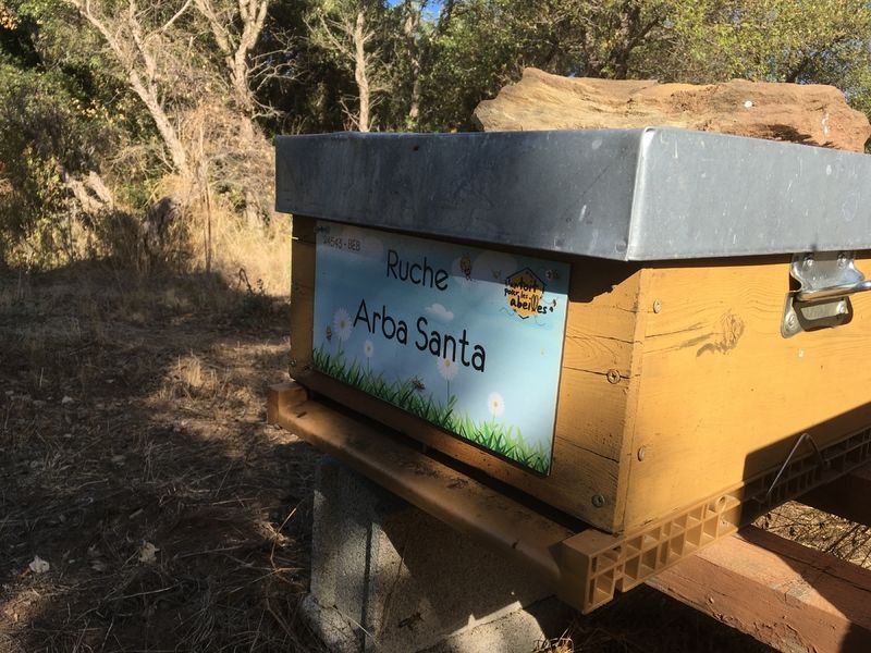 La ruche Arba Santa