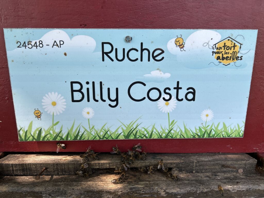 La ruche Billy Costa