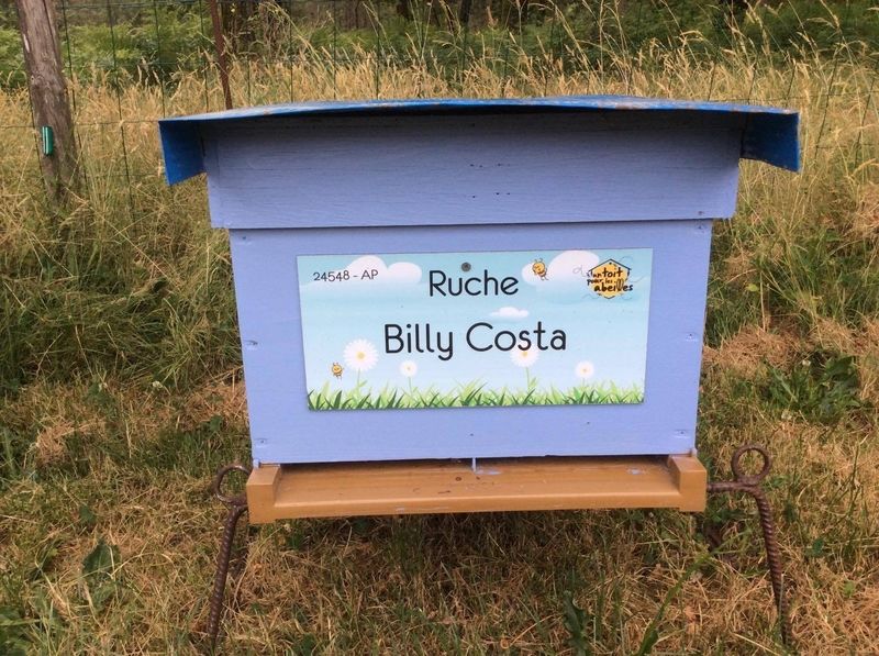 La ruche Billy Costa