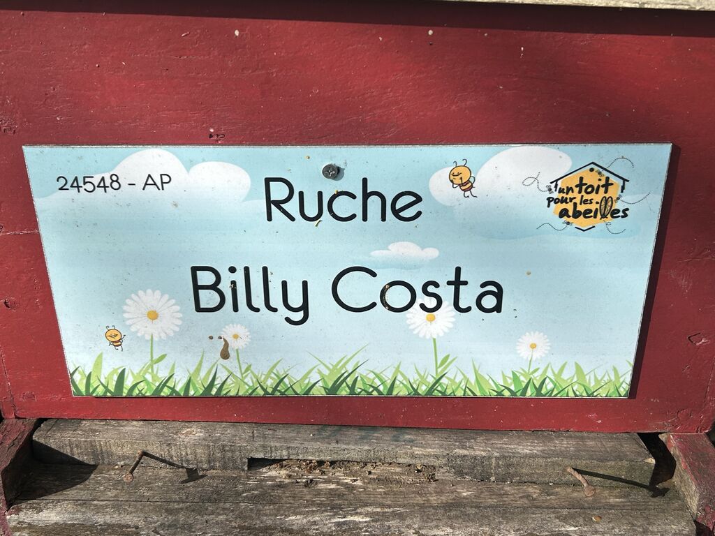 La ruche Billy Costa