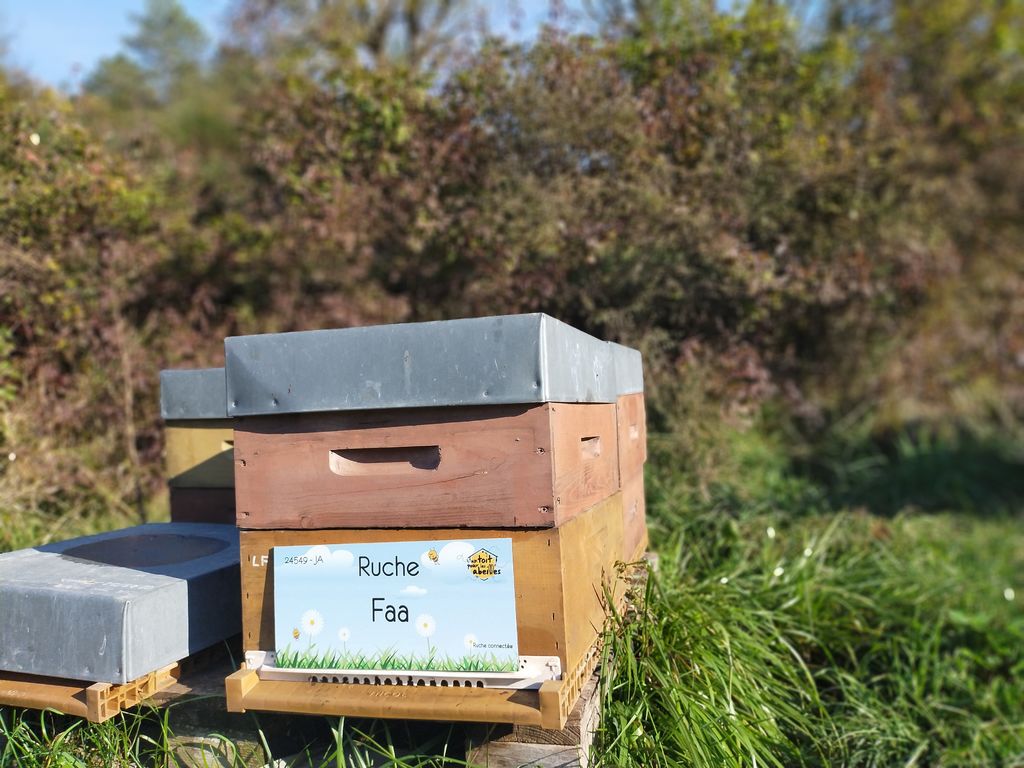 La ruche Faa
