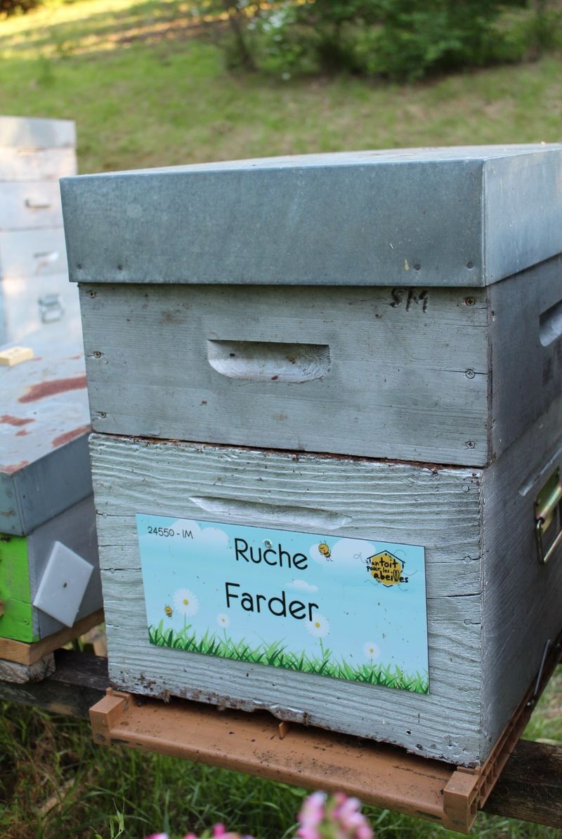 La ruche Farder 