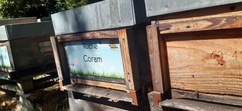 La ruche Coram