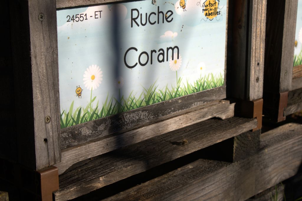 La ruche Coram