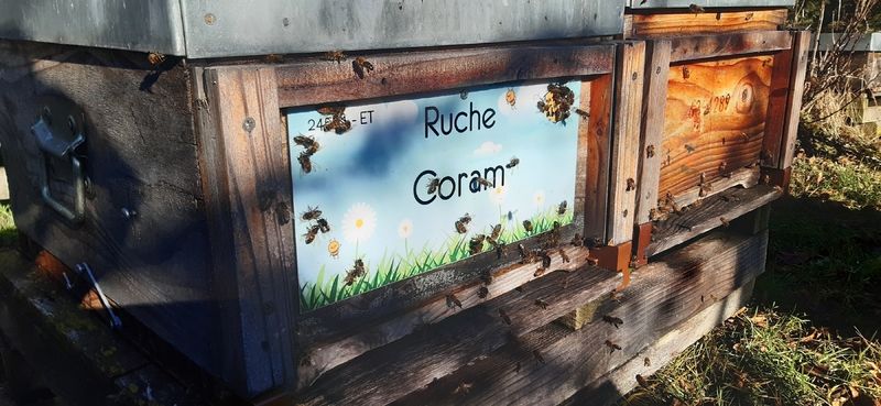 La ruche Coram