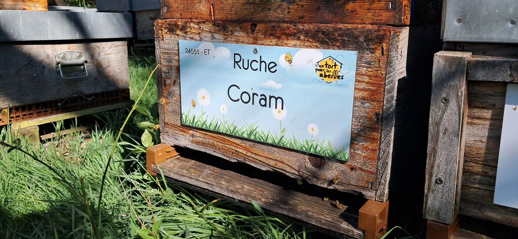 La ruche Coram