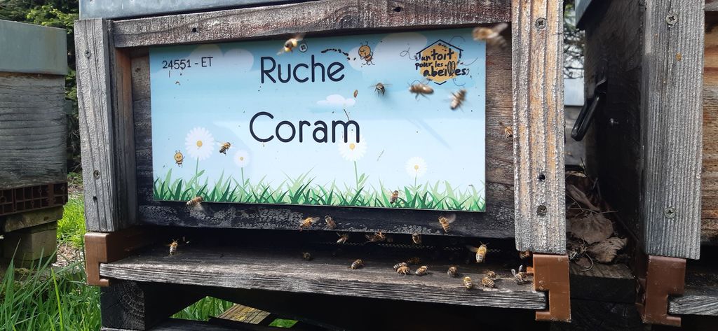 La ruche Coram