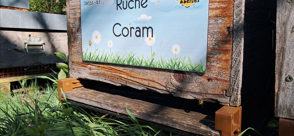 La ruche Coram