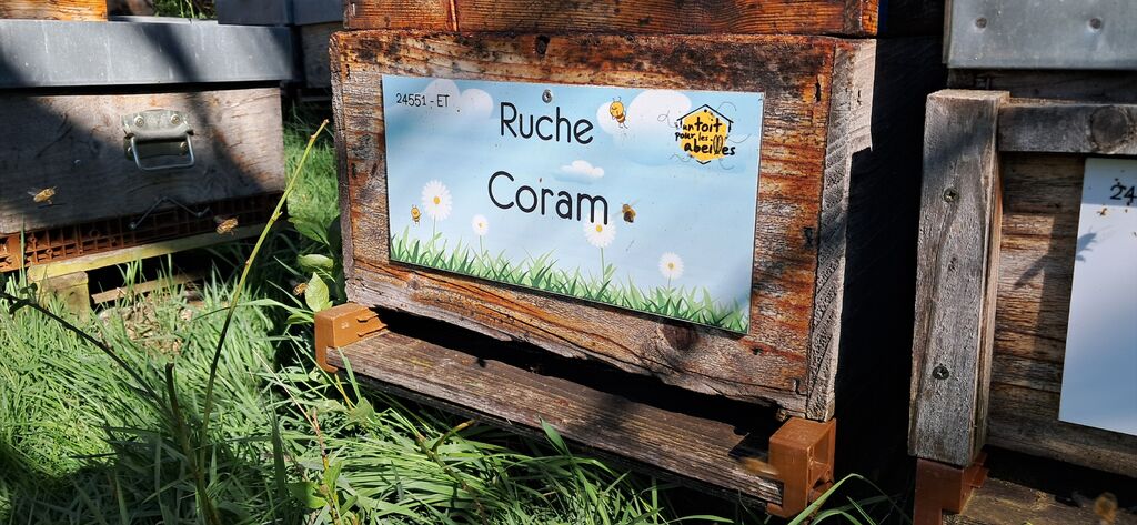 La ruche Coram