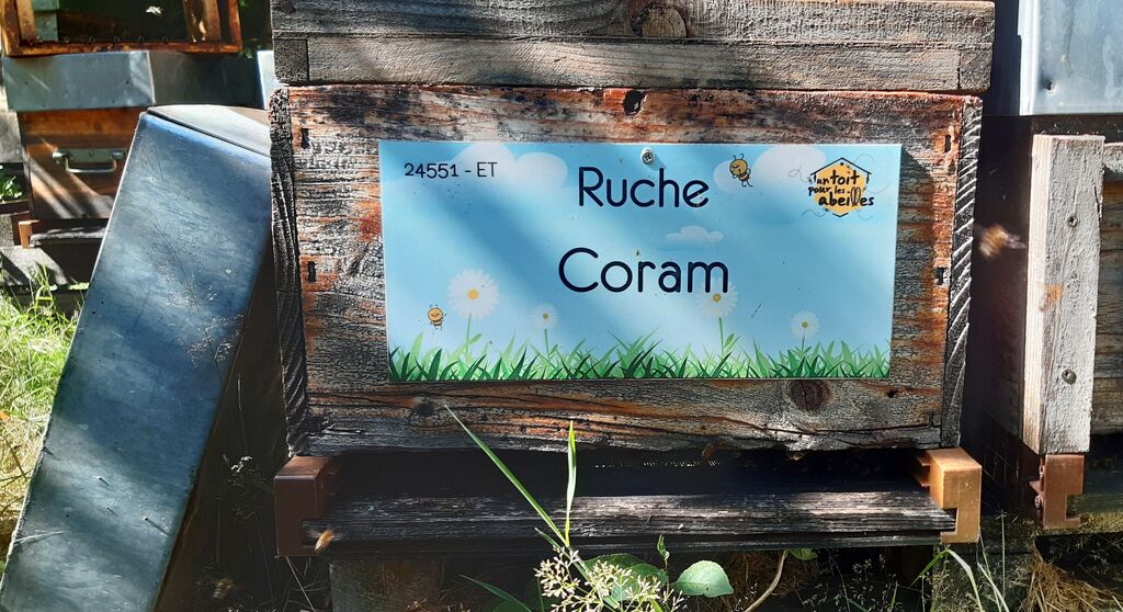 La ruche Coram