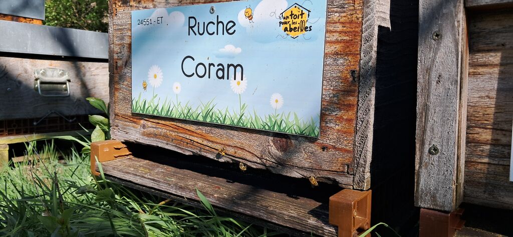 La ruche Coram
