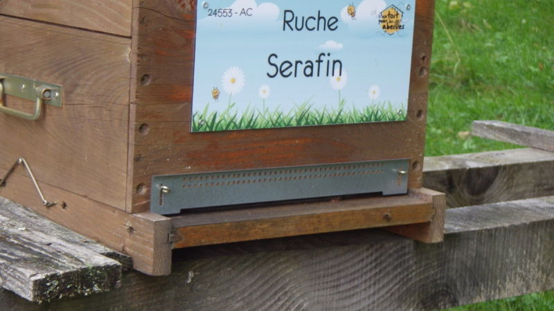 La ruche Serafin 