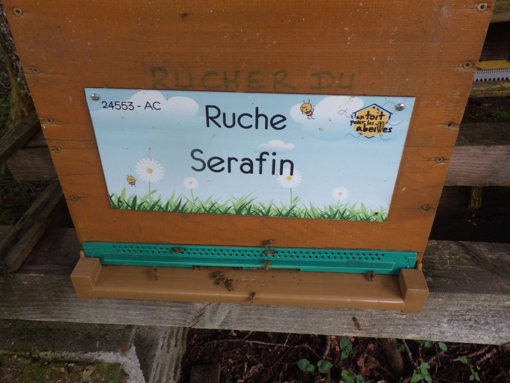 La ruche Serafin 