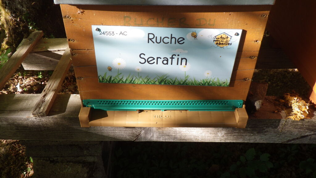 La ruche Serafin