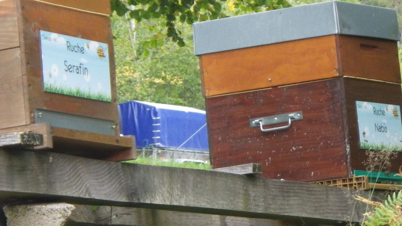 La ruche Serafin 