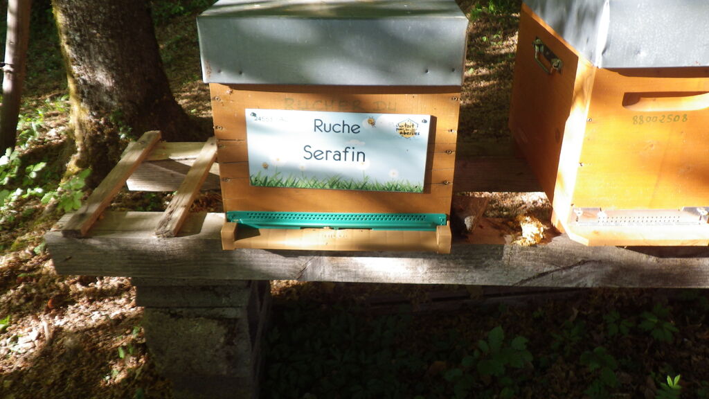 La ruche Serafin