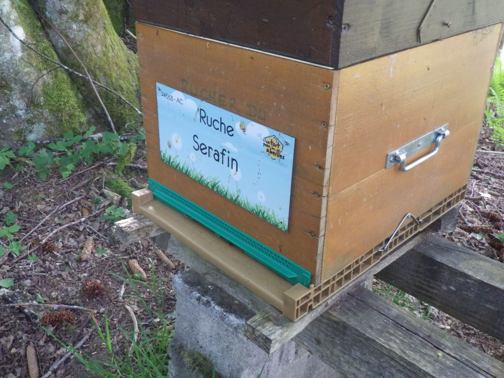 La ruche Serafin 