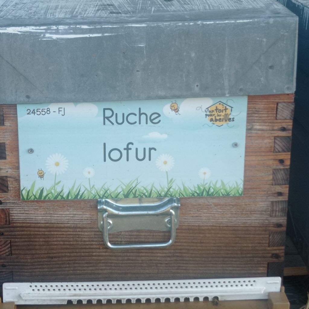 La ruche Iofur