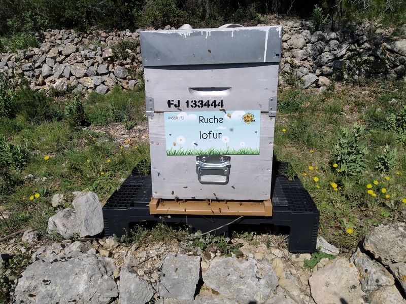 La ruche Iofur