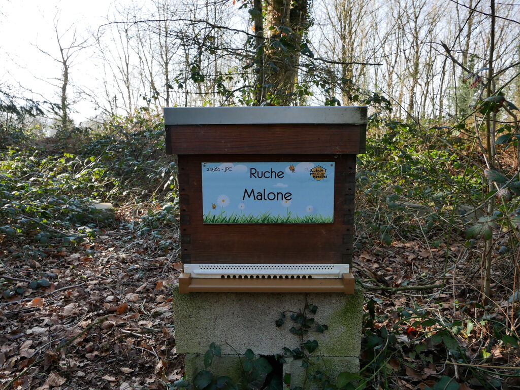 La ruche Malone