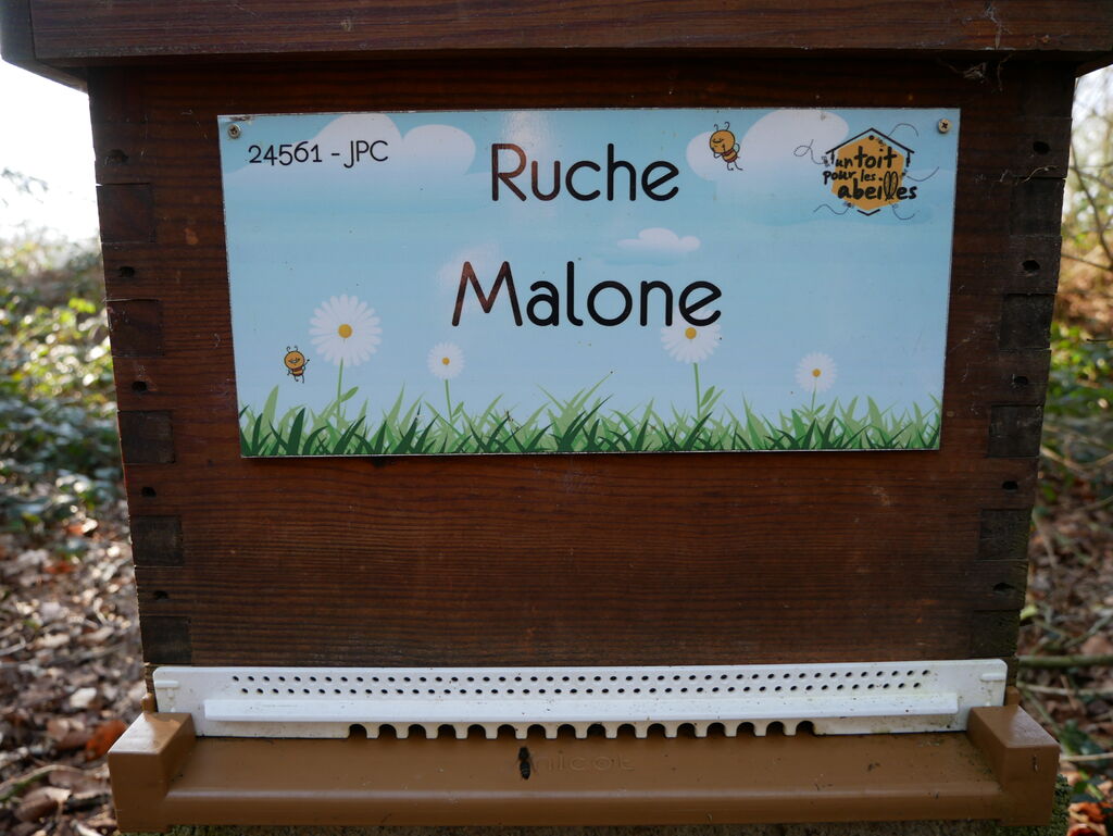La ruche Malone