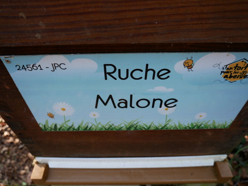 La ruche Malone