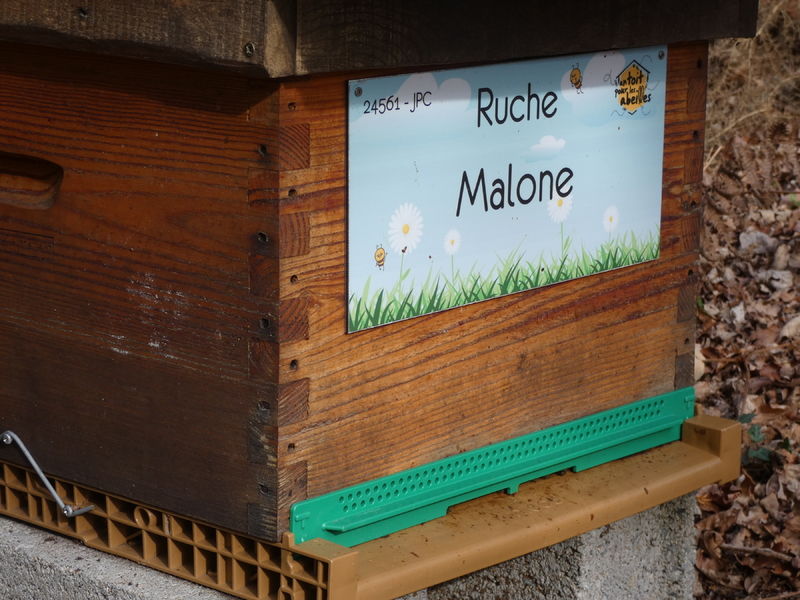 La ruche Malone