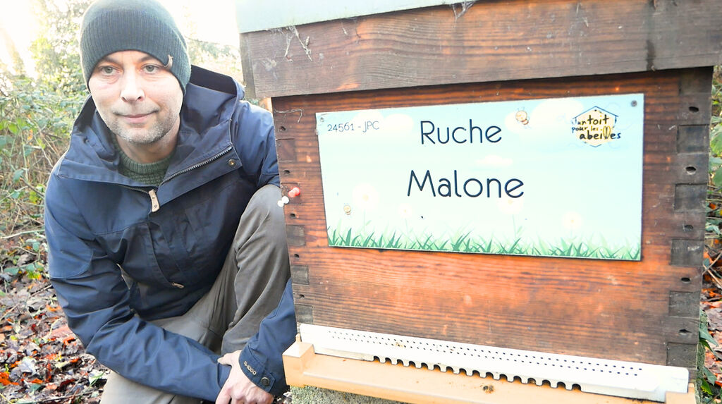 La ruche Malone