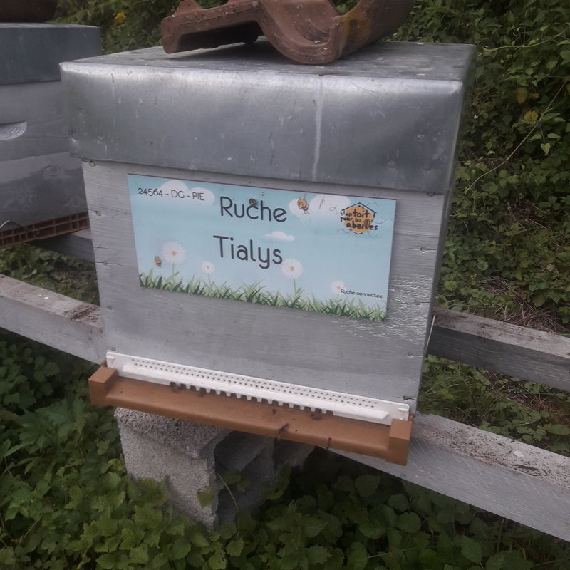 La ruche Tialys
