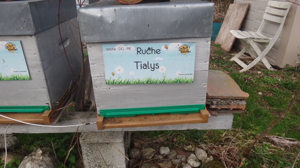 La ruche Tialys