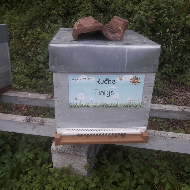 La ruche Tialys