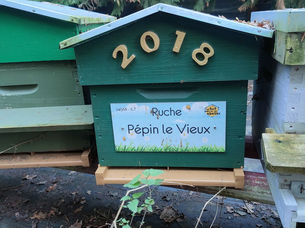 La ruche Pépin le Vieux
