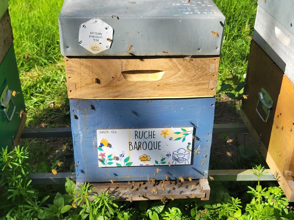 La ruche Baroque