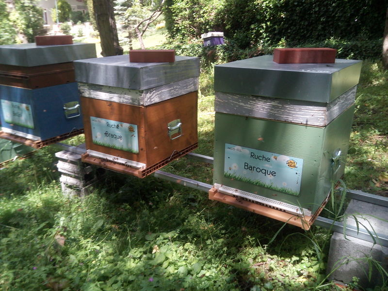 La ruche Baroque