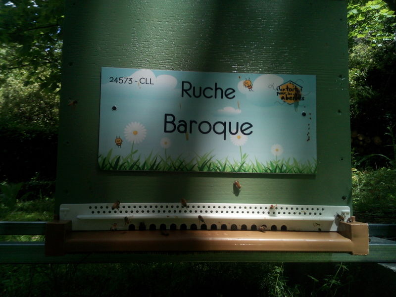 La ruche Baroque