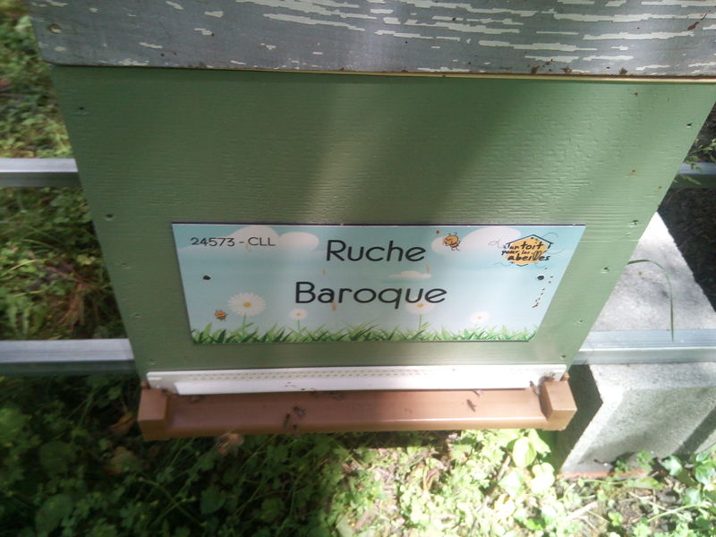 La ruche Baroque