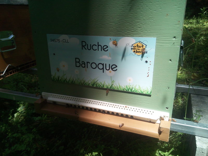 La ruche Baroque