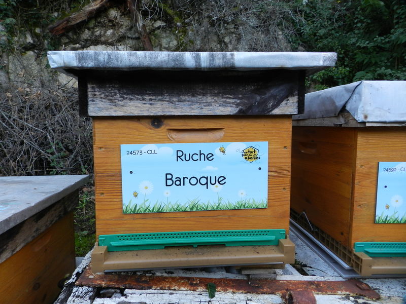 La ruche Baroque