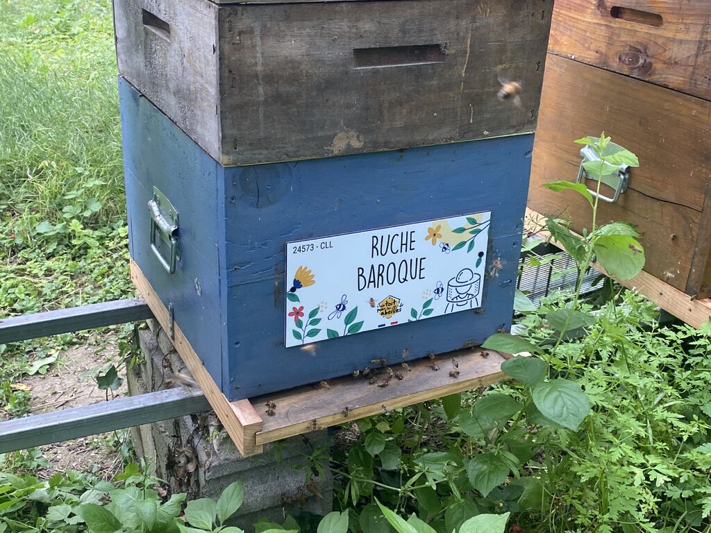 La ruche Baroque