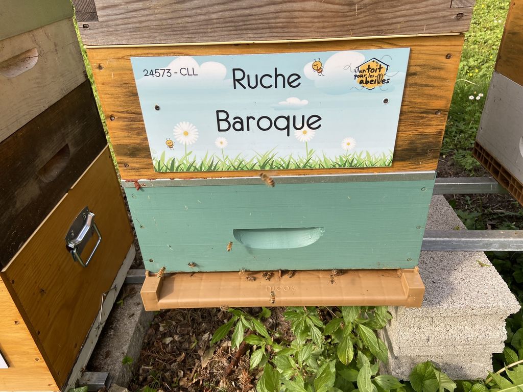 La ruche Baroque