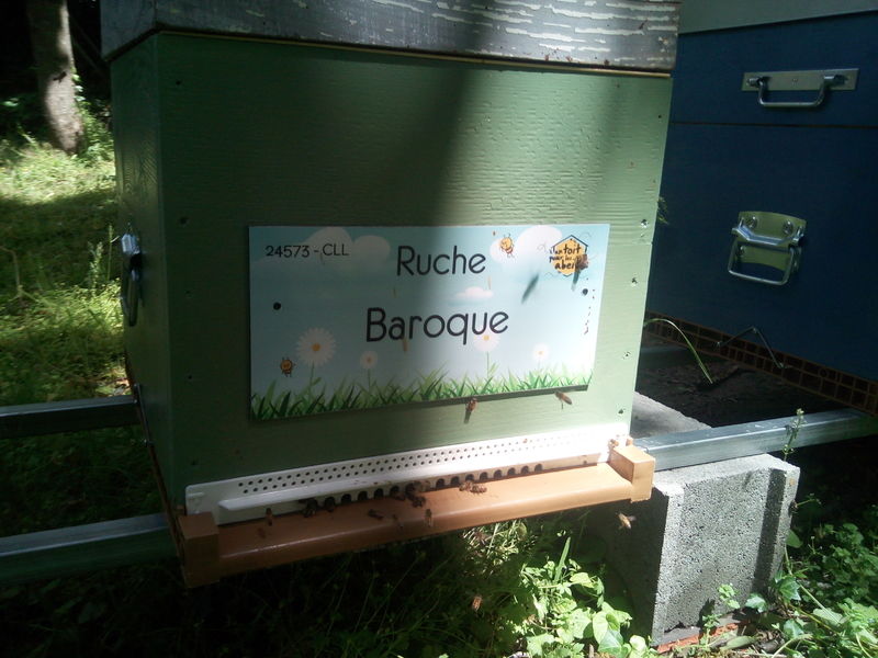 La ruche Baroque