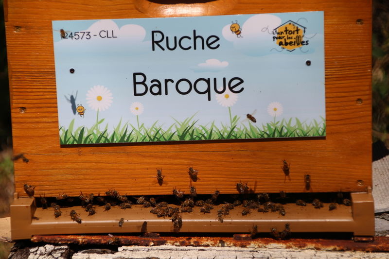 La ruche Baroque