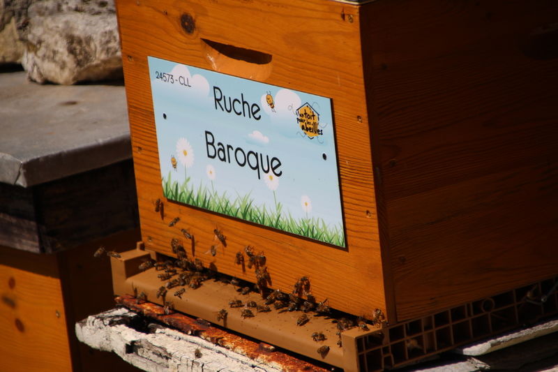 La ruche Baroque