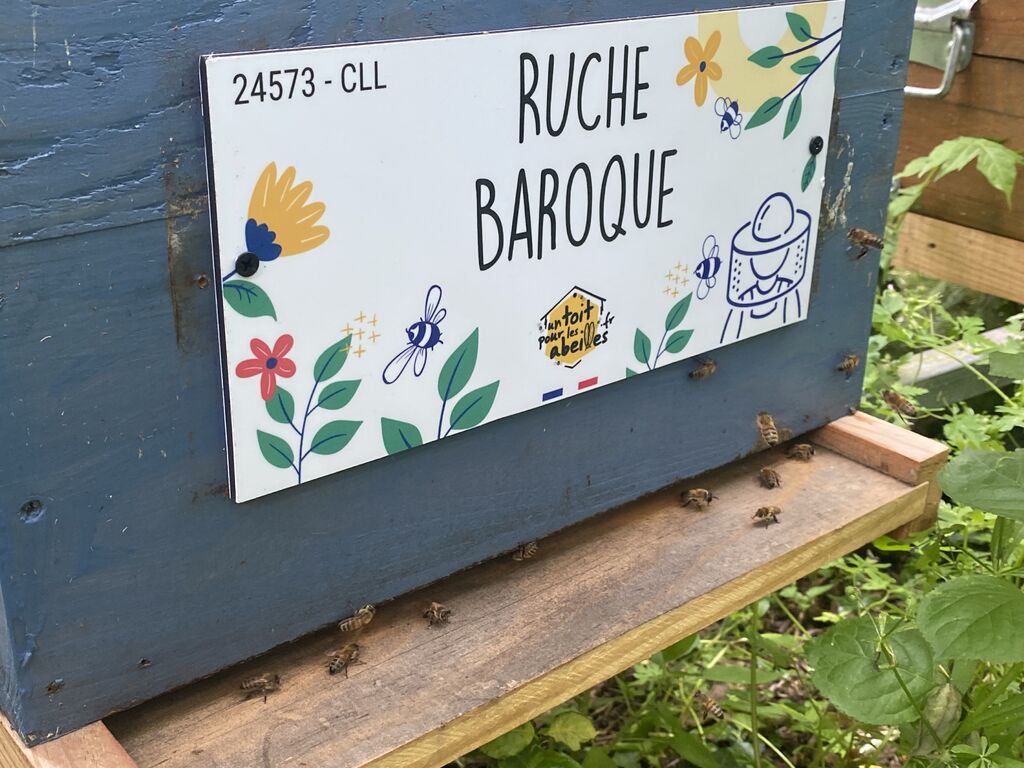 La ruche Baroque