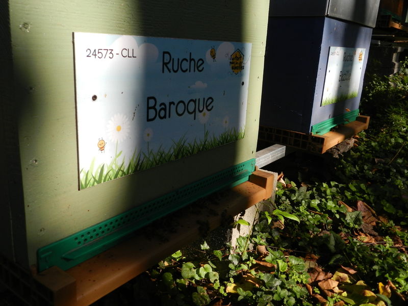 La ruche Baroque